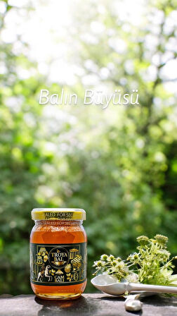  Troya Çambalı 250 g