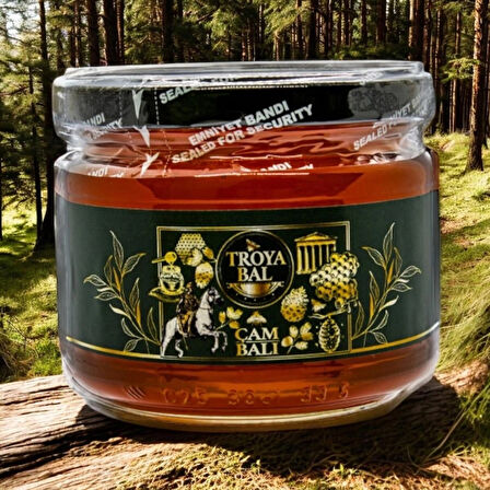 Troya Çambalı 425 g