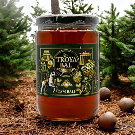  Troya Çam Balı 850 g