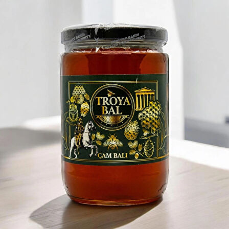  Troya Çam Balı 850 g