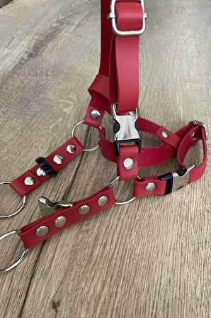 Deri Kedi Harness , Kedi Gezdirme Tasması - NPC005