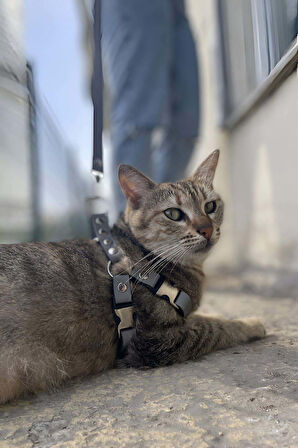 Karanlıkta Yansıyan Reflektörlü Kedi Harness , Özel Tasmalı Kedi Harness - NPC005