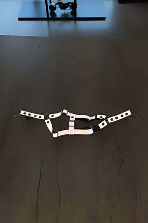 Karanlıkta Yansıyan Reflektörlü Kedi Harness , Özel Tasmalı Kedi Harness - NPC005