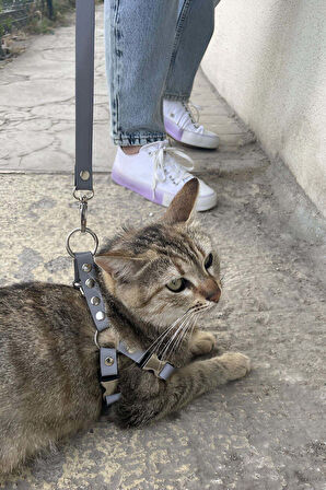 Karanlıkta Yansıyan Reflektörlü Kedi Harness , Özel Tasmalı Kedi Harness - NPC005