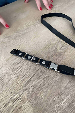 Kedi Harness , Gezdirme Ve Boyun Tasması - NPC002