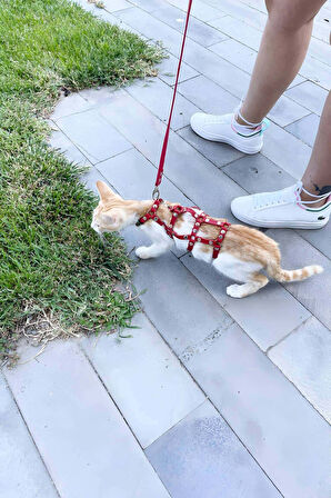 Full Body Kedi Harness, Kedi Gezdirme Tasması, Kedi Sokak Tasması - NPC011