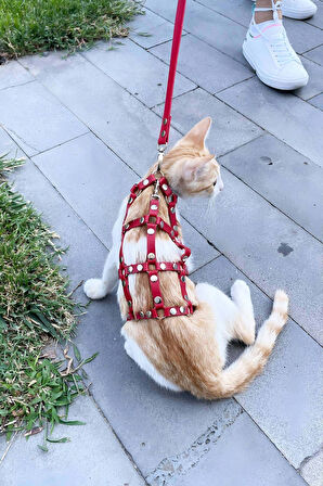 Full Body Kedi Harness, Kedi Gezdirme Tasması, Kedi Sokak Tasması - NPC011