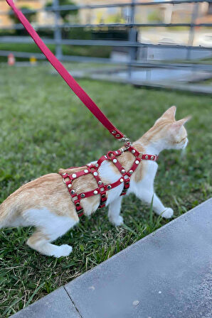 Full Body Kedi Harness, Kedi Gezdirme Tasması, Kedi Sokak Tasması - NPC011