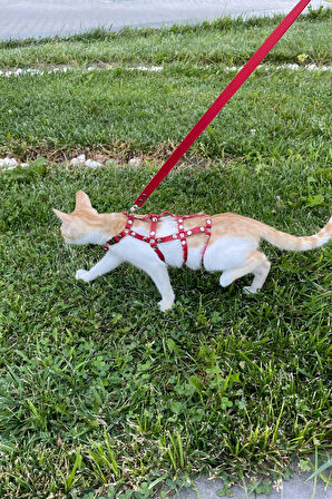 Full Body Kedi Harness, Kedi Gezdirme Tasması, Kedi Sokak Tasması - NPC011