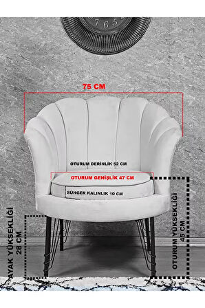 Tekli İstiridye Gold Kaplama Telli Ayak Çay Seti Koltuk Tekli Berjer , Balkon, Salon, Ofis Füme Renk 47 x 47 Boyut/Ebat