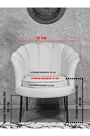 Tekli İstiridye Krom Kaplama Telli Ayak Çay Seti Koltuk Tekli Berjer , Balkon, Salon, Ofis Gri Renk 47 x 47 Boyut/Ebat