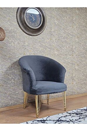 Tekli TEDDY Gold Kaplama Telli Ayak Çay Seti Koltuk Tekli Berjer , Balkon, Salon, Ofis Fume Renk 40,5 Boyut/Ebat