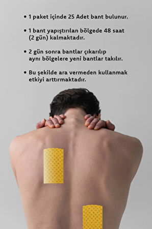 Hızlı Etkili Doğal Ginseng Ağrı Bandı Eklem Için Rahatlatıcı Uzun Süreli Etki 25 Bant