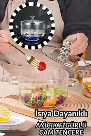ısıya dayanıklı ayıcıklı cam tencere