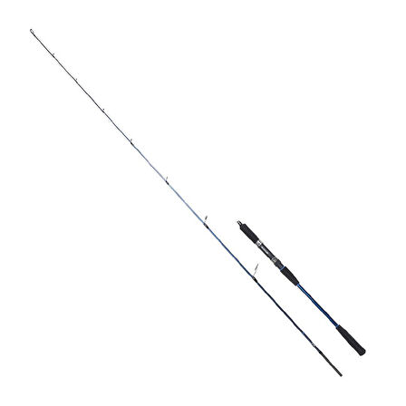 RYUJI STROBE SP 1.98M 20-80GR 2P JIG KAMIŞ