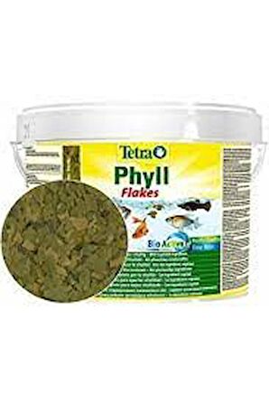 Tetra Phyll Flakes 100gr