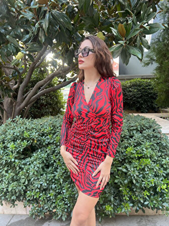 leyla sanat sanata yeni bir bakış açısı Kadın Uzun Kollu Kruvaze Yaka ön Kısım Büzgülü Zebra Desen Dalgıç Elbise