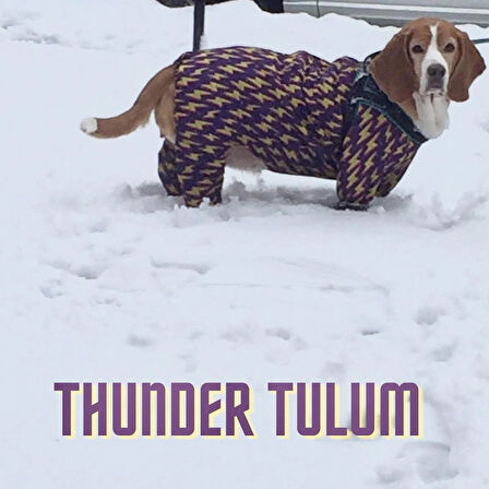 Alphadog Thunder Polarlı Küçük Irk Köpek Yağmurluk Tulumu