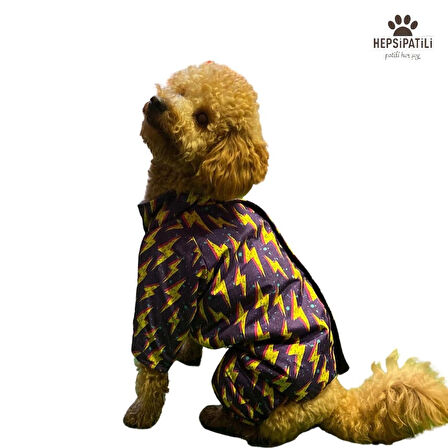 Alphadog Thunder Polarlı Küçük Irk Köpek Yağmurluk Tulumu