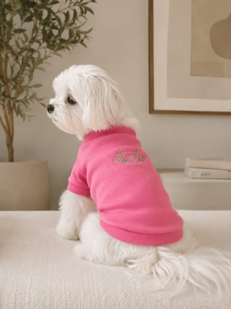 Gedyco Tiny Pink Küçük Irk Köpek Likralı Sweatshirt