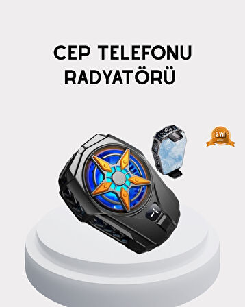 Yarı İletken Cep Telefonu Radyatörü 2 Hız Kademeli Dijital Ekranlı