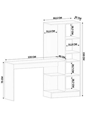 Rabi Mobilya Gold Country Çalışma Masası Kitaplık Takımı