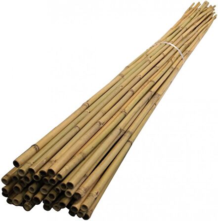 BAMBU BİTKİ DESTEK ÇUBUĞU 105 CM 10 ADET