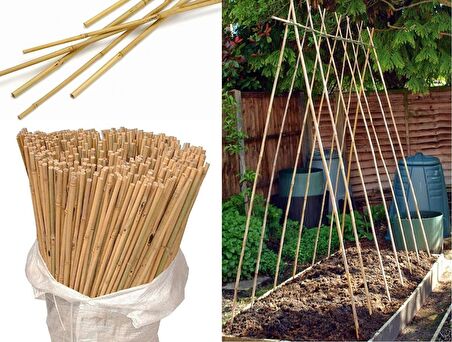 BAMBU BİTKİ DESTEK ÇUBUĞU 105 CM 10 ADET