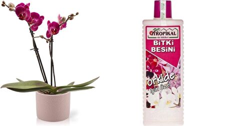 TROPİKAL ORKİDE BİTKİ BESİNİ - 1000 ML