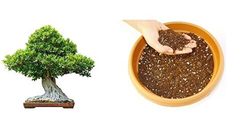 BONSAİ TOPRAĞI - ÖZEL KARIŞIM 5 Litre