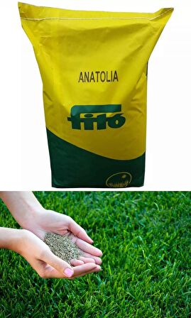 Fito Anatolia Çim Tohumu 1000 GR