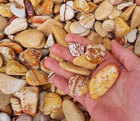 DOLOMİT TAŞI SARI ÇİZGİLİ 2-4 cm 20 KG DOĞAL DEKORASYON TAŞI