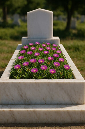 MEZAR - KABİR ÇİÇEKLİ BİTKİ SETİ - 45 ADET KAZ AYAĞI - KALICI YER ÖRTÜCÜ BİTKİ