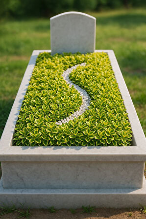 MEZAR - KABİR SARI BİTKİ SETİ - 20 ADET GOLD TAFLAN 20-30 CM