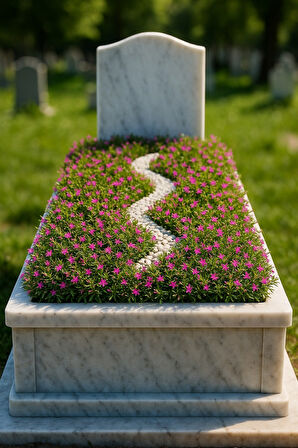 MEZAR - KABİR BİTKİ SETİ - 30 ADET CENNET ÇİÇEĞİ KUFEYA