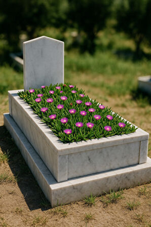 MEZAR - KABİR ÇİÇEKLİ BİTKİ SETİ - 90 ADET KAZ AYAĞI + 20 KG DOLOMİT TAŞI