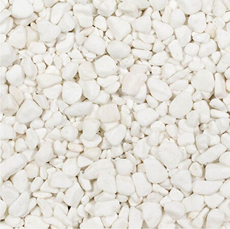 MEZAR - KABİR OSMANLI ÇİMİ SETİ - 50 ADET GÖLGE ÇİMİ + 20 KG BEYAZ DOLOMİT TAŞI