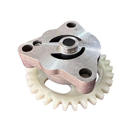 RKS 150 Titanic Yağ Pompası