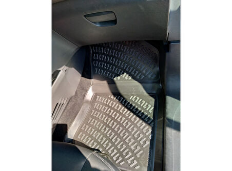 2008 2013 2019 PASPAS RİZLİNE