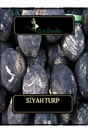 Siyah Turp Tohumu 80 Adet