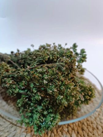 Trabzon Yayla Kekiği 100 gr ( %100 Doğal, Kurutulmuş )