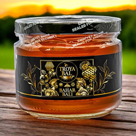 Troya Bahar Balı 425 g