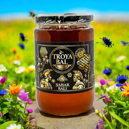 Troya Bahar Balı 850 g