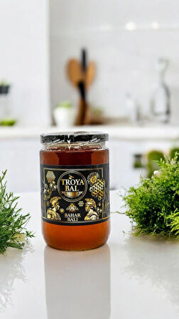  Troya Bahar Balı 850 g