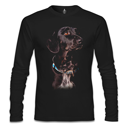 Doggy Dog Siyah Erkek Sweatshirt