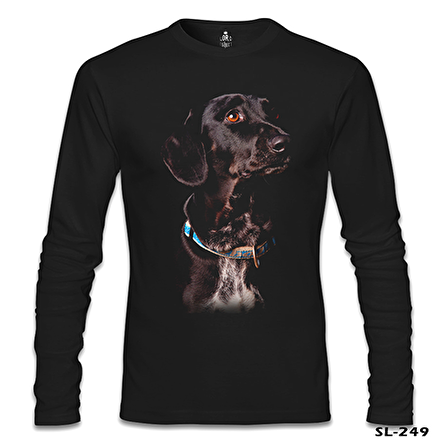 Doggy Dog Siyah Erkek Sweatshirt