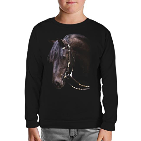 At 2 Siyah Çocuk Sweatshirt