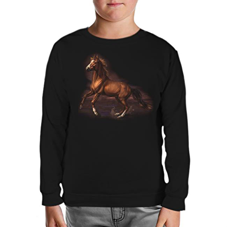 At 3 Siyah Çocuk Sweatshirt