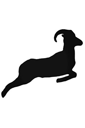 Koç 5 Oto özel yeni sticker 20 Cm MİXGİFTZ