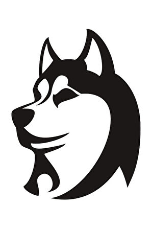 Kurt Oto özel yeni sticker 20*26 Cm MİXGİFTZ